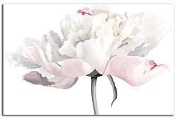 Obraz na stenu ZS - bez pomeru strán